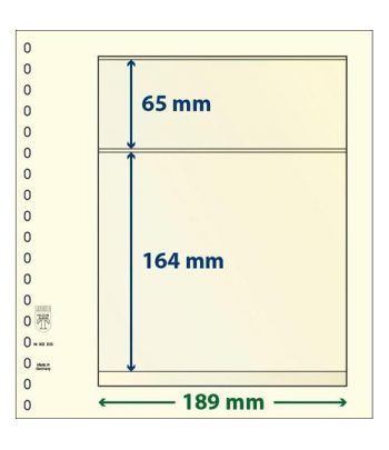 LINDNER Hojas clasificadoras T-Blanko 802203