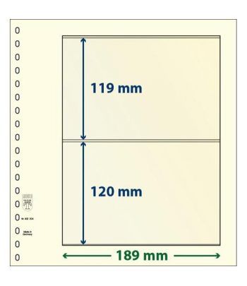 LINDNER Hojas clasificadoras T-Blanko 802204