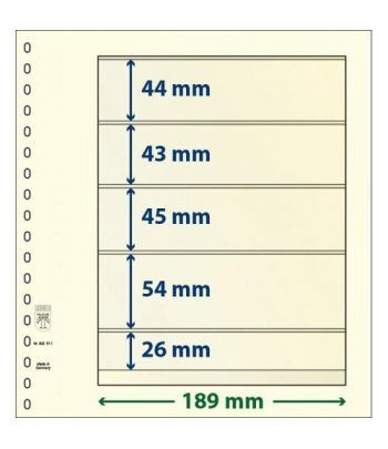 LINDNER Hojas clasificadoras T-Blanko 802511 Paquete de 10